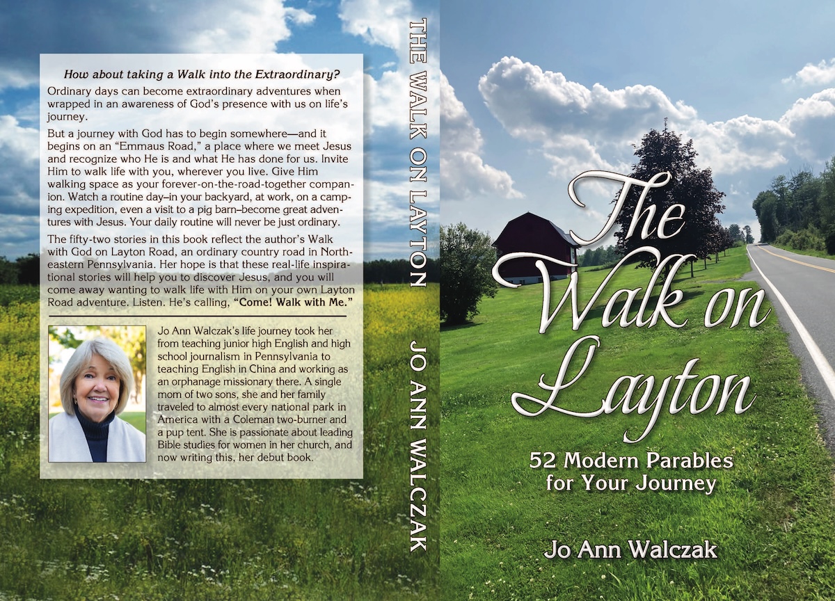 Cover: The Walk on Layton: 52 Modern Parables for Your Journey